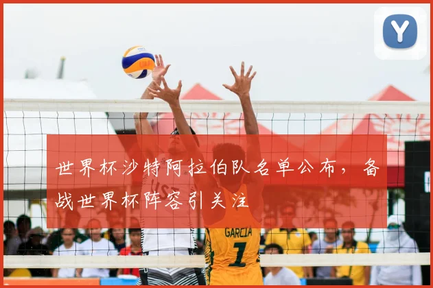 世界杯沙特阿拉伯队名单公布,备战世界杯阵容引关注