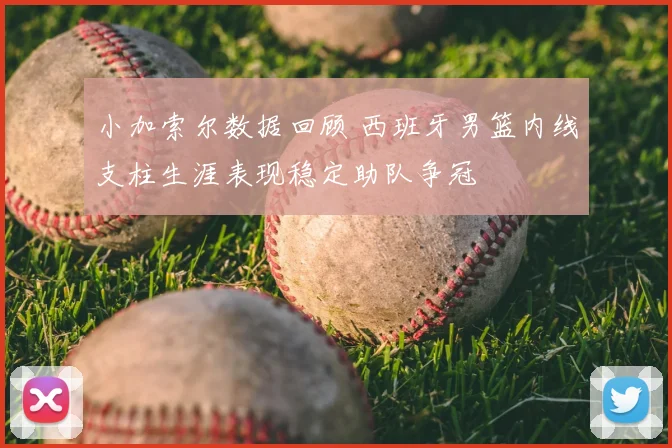 小加索尔数据回顾 西班牙男篮内线支柱生涯表现稳定助队争冠