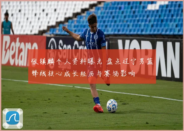 张镇麟个人资料曝光 盘点辽宁男篮锋线核心成长经历与赛场影响