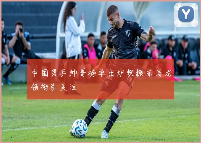 中国男乒帅哥榜单出炉樊振东马龙领衔引关注