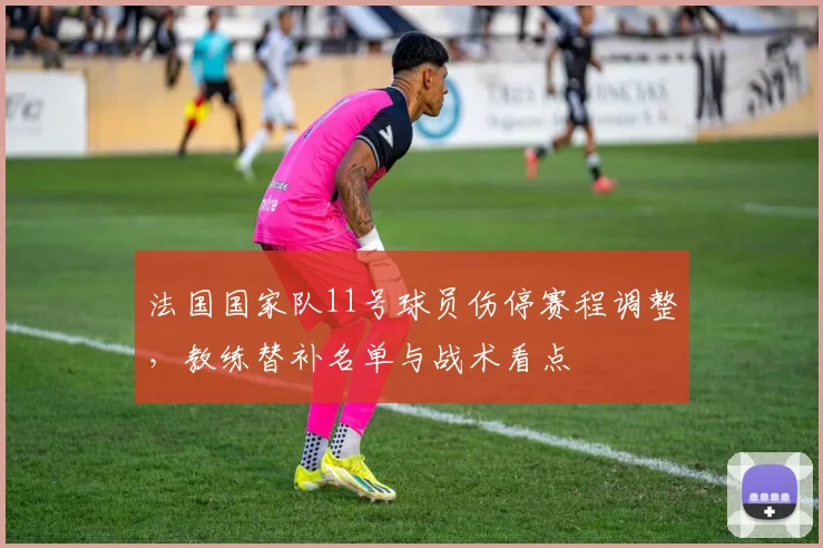 法国国家队11号球员伤停赛程调整,教练替补名单与战术看点