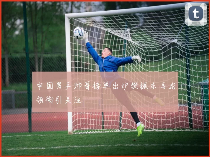 中国男乒帅哥榜单出炉樊振东马龙领衔引关注