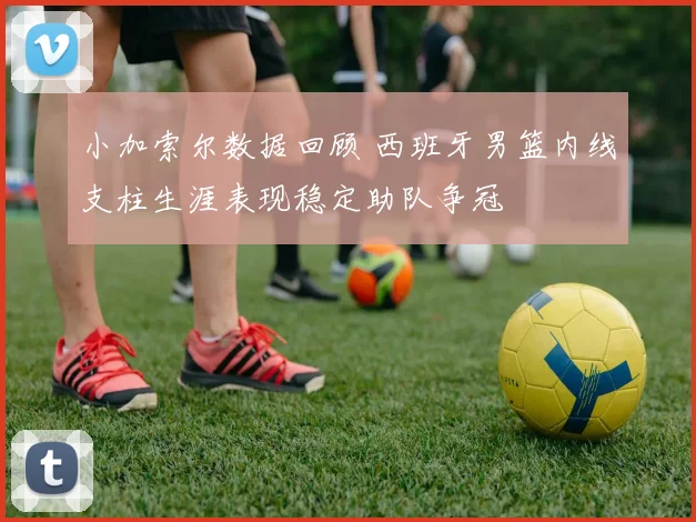 小加索尔数据回顾 西班牙男篮内线支柱生涯表现稳定助队争冠